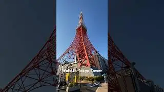 Fast Walk to Tokyo Tower