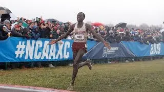 The Ultimate 2019 DI NCAA XC Championship Highlight