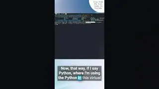 NeoVim python virtual env for LSP support 🤖 Build a Python RAG Microservice