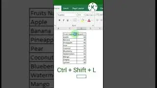 Shortcut keys to apply filter in Ms Excel