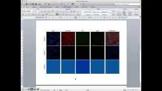 Producing a Figure for publication containing microscopy images in MS Word