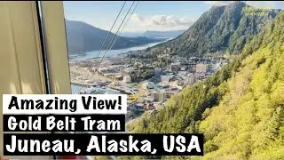 Alaska Cruise Excursion | Gold Belt Tram | Juneau Alaska | Royal Caribbean Cruise Line