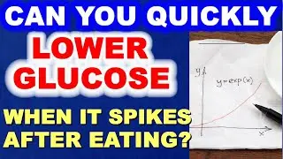 Can You Quickly Lower Glucose When It Spikes After Eating?