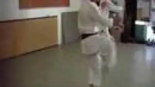 Ashihara Karate USA