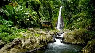 Gitgit Waterfall in Buleleng Regency of Bali 4k. Relaxing Waterfall Sounds 10 hours in 4k UHD.