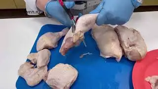Самый быстрый способ разделки курицы с помощью Ножниц Диско. 