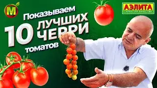 10 ЛУЧШИХ ТОМАТОВ ЧЕРРИ! Большой обзор красивых и урожайных сортов. Секреты выращивания.