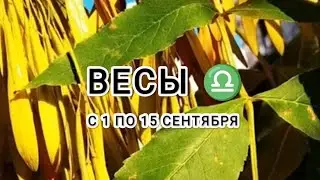 ВЕСЫ ♎ таро прогноз с 1 по 15 сентября &LIBRA tarot forecast from September 1 to September 15