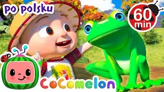 Przygoda w lesie | CoComelon po polsku 🍉🎶 Piosenki dla dzieci