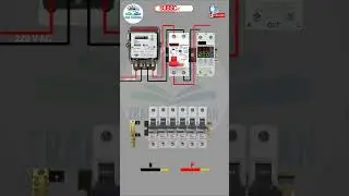 Single Phaase Distribution Board Wiring || Trade Electrician