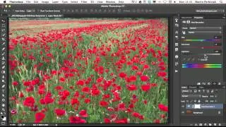 The Ultimate Guide to Adjustment Layers - Hue/Saturation