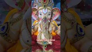 Jai Ganesh ji| Ganpati Bappa Morya #shortvideo #ganpati #viralshorts #ganeshji