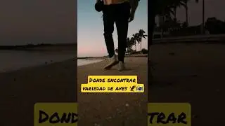 Mejores lugares para fotografiar aves 📸🦅 