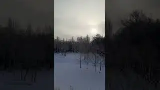 Мечта о свободе. Давайте вместе мечтать