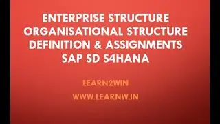 Enterprise Structure sap sd | organizational structure sap sd | org structure 