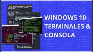 Consolas y Terminales en Windows 10 | Cmder, Git Bash, Windows Terminal, Cygwin