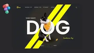 Figma Pet Shop UI Design: Easy and Effective Techniques