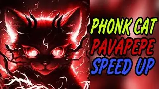 PHONK CAT - PAVAPEPE (Speed up)