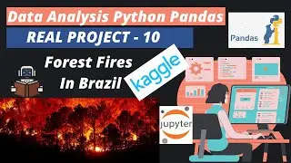 15. Project - 10  Forest Fires in Brazil | Python Pandas Project | Kaggle Dataset