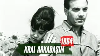 Kral Arkadaşım | 1964 | Ayhan Işık