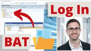 Use a batch file to log into the SAP system | SAP Log on