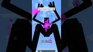 Minecraft Mace Experiment 🔥🤯 #minecraft #shorts