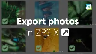 How to set up the best export settings