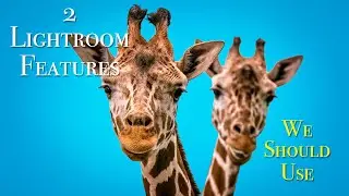 2 Little Used Features of Lightroom We Should Probably Use More