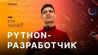 Кто такой - PYTHON разработчик? Обзор профессии. 