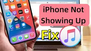 iPhone Not Showing Up in iTunes? Fix iTunes Not Detecting iPhone (6 Ways)