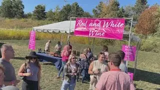 Wine OFF the Fox in Oswego raises money for Breast Cancer Awareness