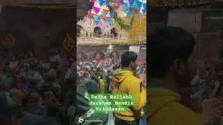 Radhavallabh mandir vrindavan #trending #viral #shorts