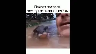 Милота🤣🤣🤣 ЛУЧШИЕ ТИКТОК #shorts