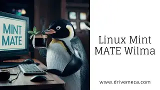 Linux Mint MATE Wilma Review - Estable, Liviano, Excelente - Guía paso a paso en Español