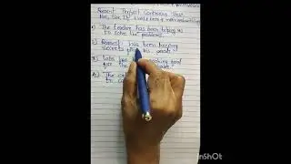 present perfect continuous tense examples