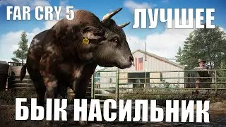 Far Cry 5 труба смерти и секс быков