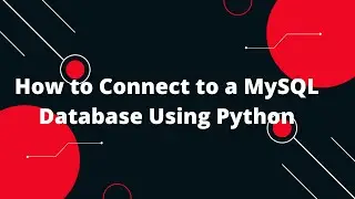 Python for Beginners #13: How to Connect to a MySQL Database Using Python! 🗄️✨