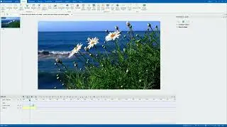 Control the Start Frame of a Video - ActivePresenter 8