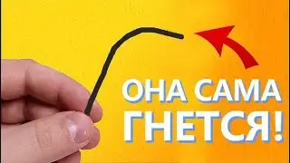 ЖИВАЯ ПРОВОЛОКА - ФОКУС который СДЕЛАЕТ тебя СВЕРХЧЕЛОВЕКОМ