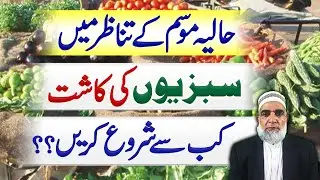 When to sow vegetables under the scenario of current weather conditions || Crop Reformer