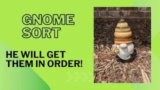 Watch Your Gnome Go With Gnome Sort!