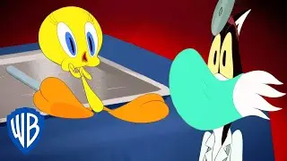 Looney Tunes en Latino | Tweety en el médico 😷 | WB Kids