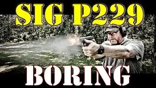 Sig Sauer P229 Absolutely Boring!!!  CCW End Of Month Assessment