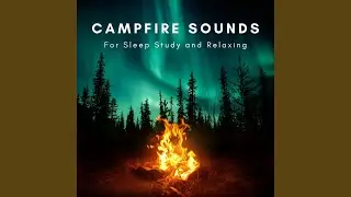 Relaxing Campfire Sounds