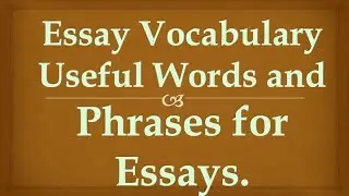 Essay Vocabulary. Useful Words and Phrases for Essays.