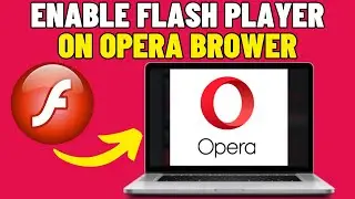 How To Enable Flash Player On Opera Browser (2024)