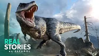 T. Rex Y Más Allá: Los Mayores Descubrimientos De Dinosaurios