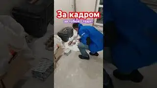 1 августа 2023 г.