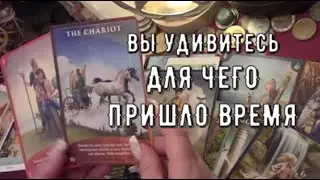 Вы Удивитесь❗ Что вас ждет в августе🔥 Идите к цели Вас порадуют перемены Таро знаки судьбы #tarot