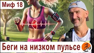 Опасно ли бегать на высоком пульсе? И когда он упадет? – Миф 18 из цикла Бег. Мифы и предубеждения